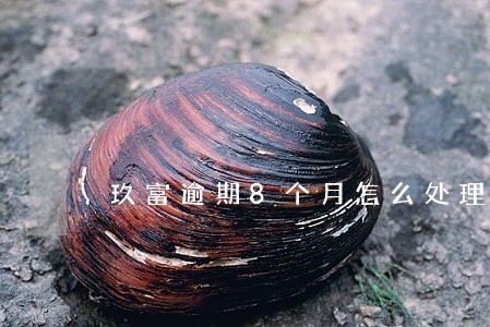 玖富逾期8个月怎么处理 玖富逾期8个月怎么处理