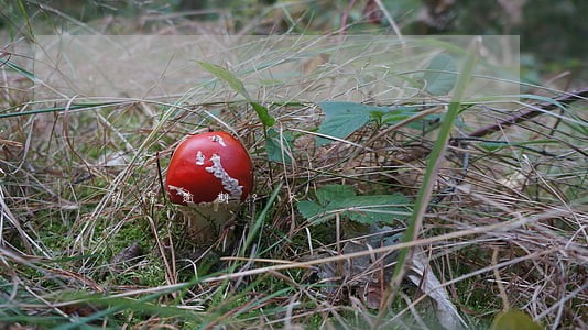 玖富逾期9天 玖富逾期9天