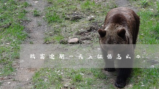 玖富逾期一天上征信怎么办 玖富逾期一天上征信怎么办