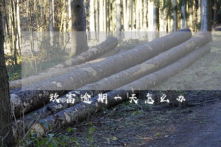 玖富逾期一天怎么办 玖富逾期一天怎么办
