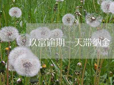 玖富逾期一天滞纳金 玖富逾期一天滞纳金