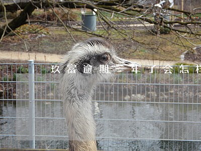 玖富逾期一年了会怎样 玖富逾期一年了会怎样