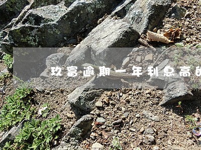 玖富逾期一年利息高的吓人 玖富逾期一年利息高的吓人