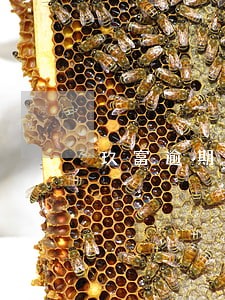 玖富逾期一年半 玖富逾期一年半