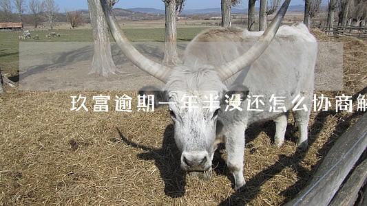 玖富逾期一年半没还怎么协商解决 玖富逾期一年半没还怎么协商解决
