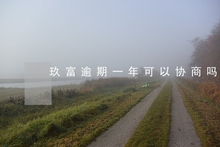 玖富逾期一年可以协商吗 玖富逾期一年可以协商吗