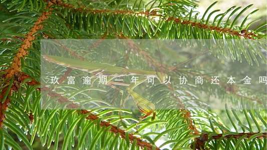 玖富逾期一年可以协商还本金吗 玖富逾期一年可以协商还本金吗