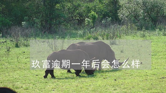 玖富逾期一年后会怎么样 玖富逾期一年后会怎么样