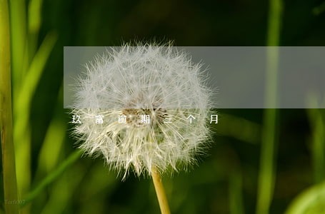 玖富逾期三个月 玖富逾期三个月
