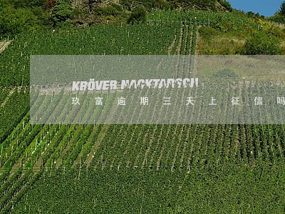 玖富逾期三天上征信吗 玖富逾期三天上征信吗