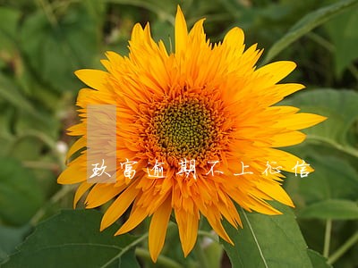 玖富逾期不上征信 玖富逾期不上征信
