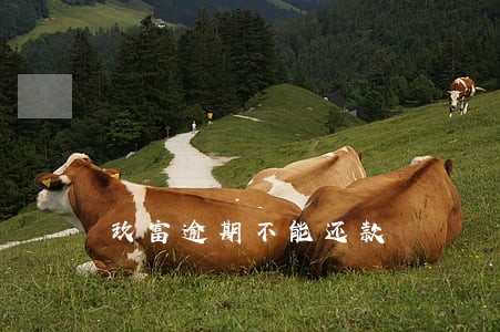玖富逾期不能还款 玖富逾期不能还款