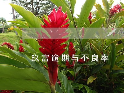 玖富逾期与不良率 玖富逾期与不良率