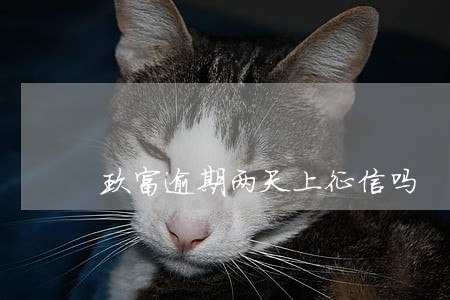 玖富逾期两天上征信吗 玖富逾期两天上征信吗