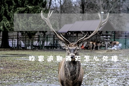 玖富逾期两天怎么处理