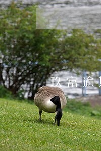 玖富逾期两天爆 玖富逾期两天爆