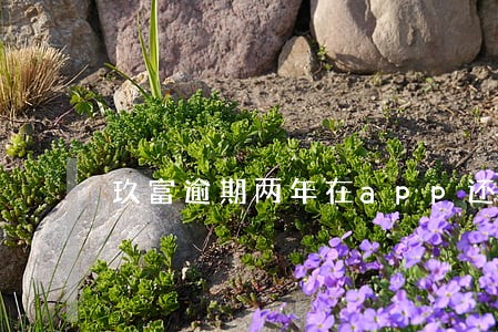 玖富逾期两年在app还不进去了 玖富逾期两年在app还不进去了