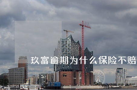 玖富逾期为什么保险不赔 玖富逾期为什么保险不赔
