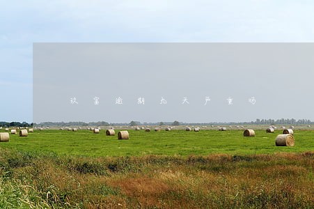 玖富逾期九天严重吗 玖富逾期九天严重吗