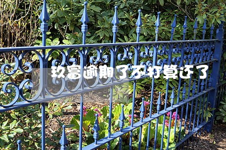 玖富逾期了不打算还了 玖富逾期了不打算还了