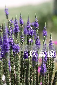 玖富逾期了两年利息多少 玖富逾期了两年利息多少