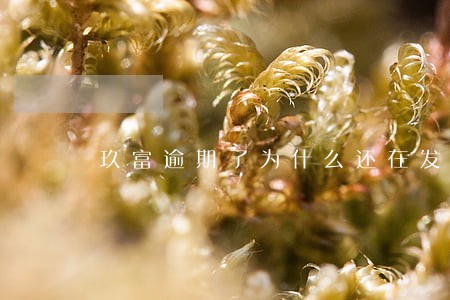玖富逾期了为什么还在发标 玖富逾期了为什么还在发标