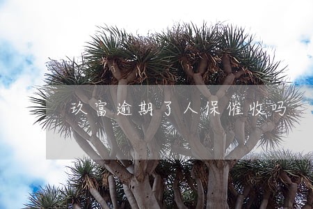 玖富逾期了人保催收吗