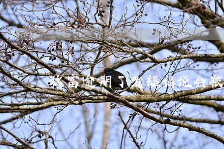 玖富逾期了发短信说会被仲裁 玖富逾期了发短信说会被仲裁