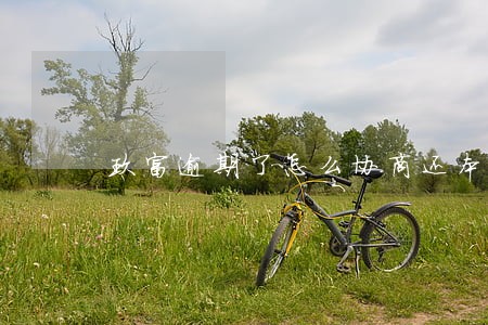 玖富逾期了怎么协商还本金 玖富逾期了怎么协商还本金