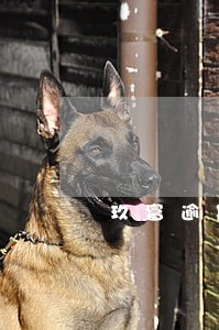 玖富逾期了怎么解决