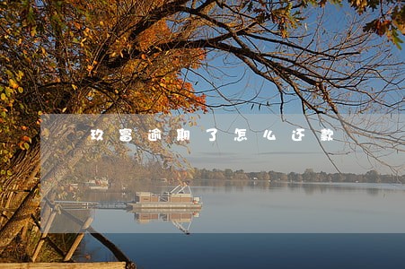 玖富逾期了怎么还款 玖富逾期了怎么还款