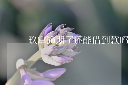 玖富逾期了还能借到款吗 玖富逾期了还能借到款吗