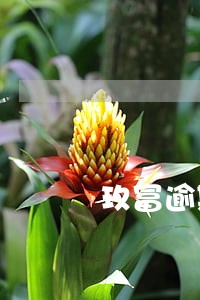玖富逾期了还能退款 玖富逾期了还能退款