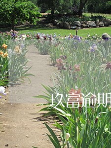 玖富逾期了还要还吗 玖富逾期了还要还吗