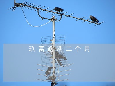 玖富逾期二个月 玖富逾期二个月