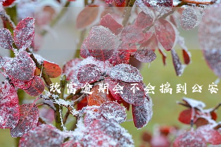 玖富逾期会不会搞到公安局 玖富逾期会不会搞到公安局