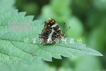玖富逾期会仲裁吗 玖富逾期会仲裁吗