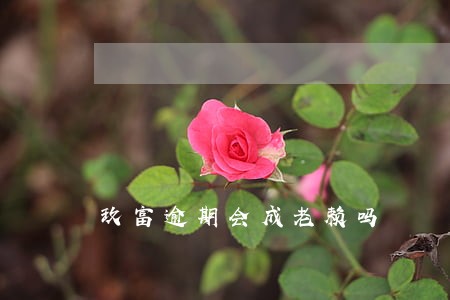 玖富逾期会成老赖吗 玖富逾期会成老赖吗