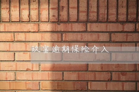 玖富逾期保险介入 玖富逾期保险介入