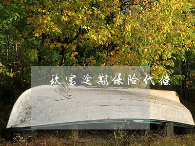 玖富逾期保险代偿 玖富逾期保险代偿