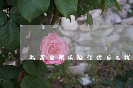 玖富逾期保险代偿后又找我追讨 玖富逾期保险代偿后又找我追讨