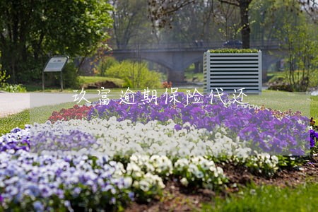 玖富逾期保险代还 玖富逾期保险代还