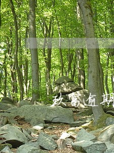 玖富逾期保险公司理赔让我付 玖富逾期保险公司理赔让我付