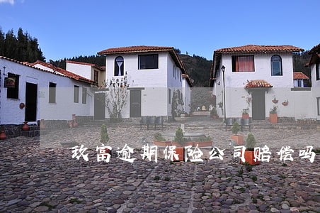 玖富逾期保险公司赔偿吗 玖富逾期保险公司赔偿吗
