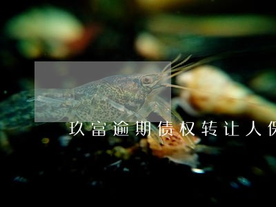 玖富逾期债权转让人保 玖富逾期债权转让人保