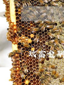 玖富逾期催收短信 玖富逾期催收短信
