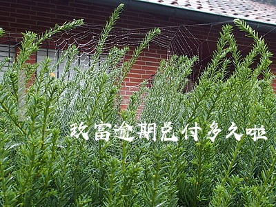 玖富逾期兑付多久啦 玖富逾期兑付多久啦