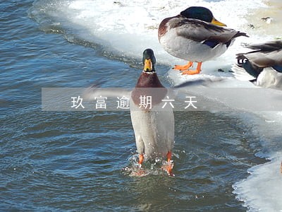 玖富逾期六天 玖富逾期六天