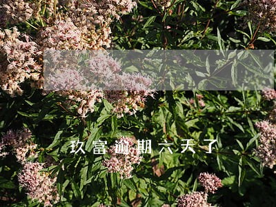 玖富逾期六天了