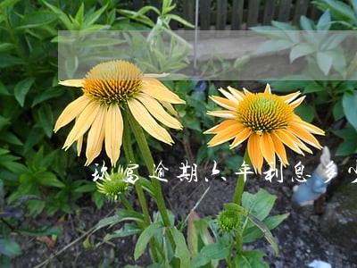 玖富逾期六年利息多少 玖富逾期六年利息多少